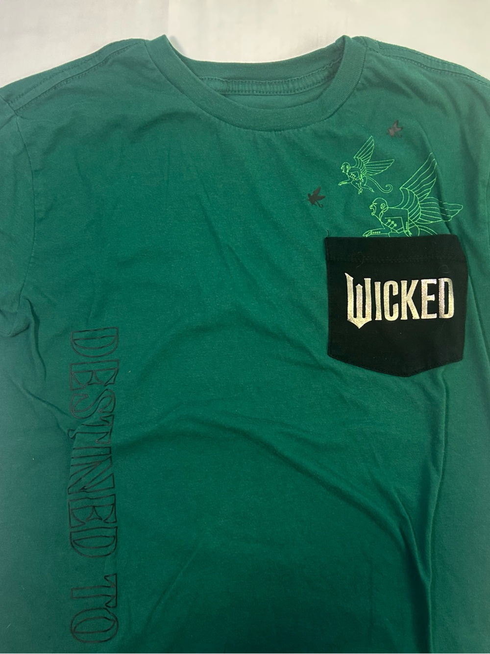 Girls used shirt bundle